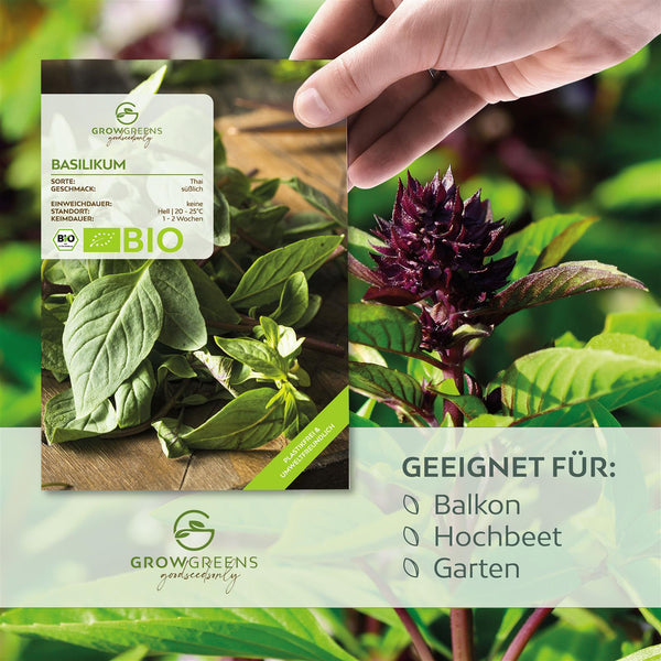 BIO Thai Basilikum Samen - Küchenkräuter Saatgut aus biologischem Anbau (250 Korn) - HappySeed