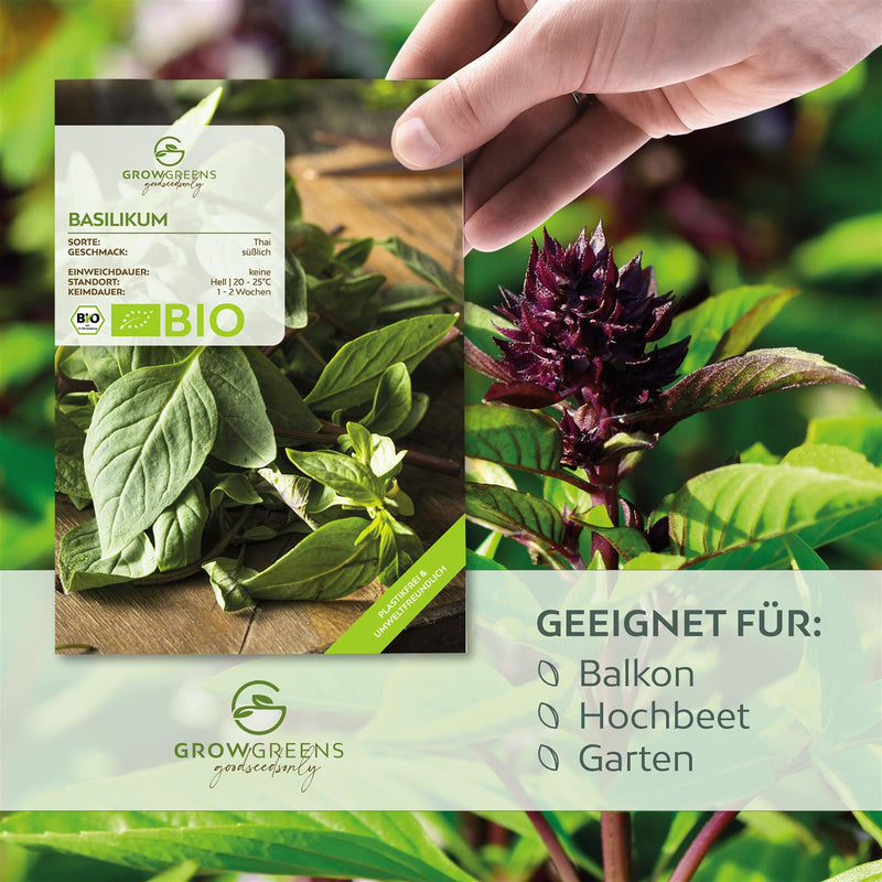 BIO Thai Basilikum Samen - Küchenkräuter Saatgut aus biologischem Anbau (250 Korn) - HappySeed