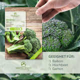 BIO Brokkoli Samen (Calabrese) - Brokkoli Saatgut aus biologischem Anbau (50 Korn) - HappySeed