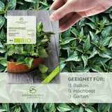 BIO Brennnesselsamen - Heilkräuter Saatgut aus biologischem Anbau (2000 Korn) - HappySeed