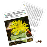 Echter Tigerrachen Samen - Faucaria Tigra (Kakteen) - HappySeed