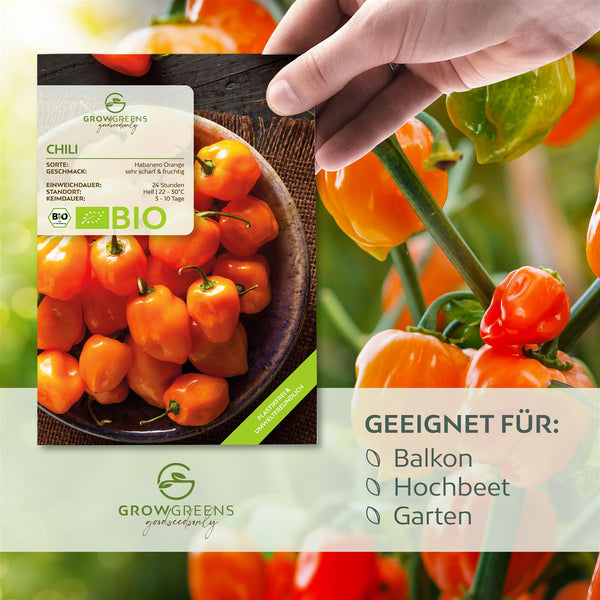 BIO Chili Samen (Habanero Orange, 250.000 Scoville) - Chili Saatgut aus biologischem Anbau (10 Korn) - HappySeed