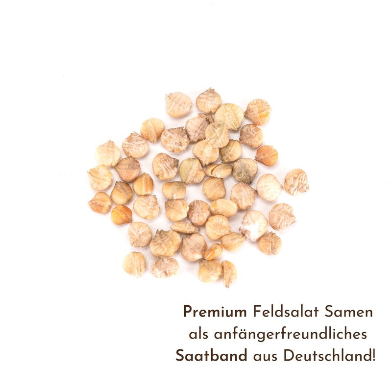 5m Saatband mit Feldsalat Samen - Verte a coeur plein 2 - Valerianella locusta - HappySeed