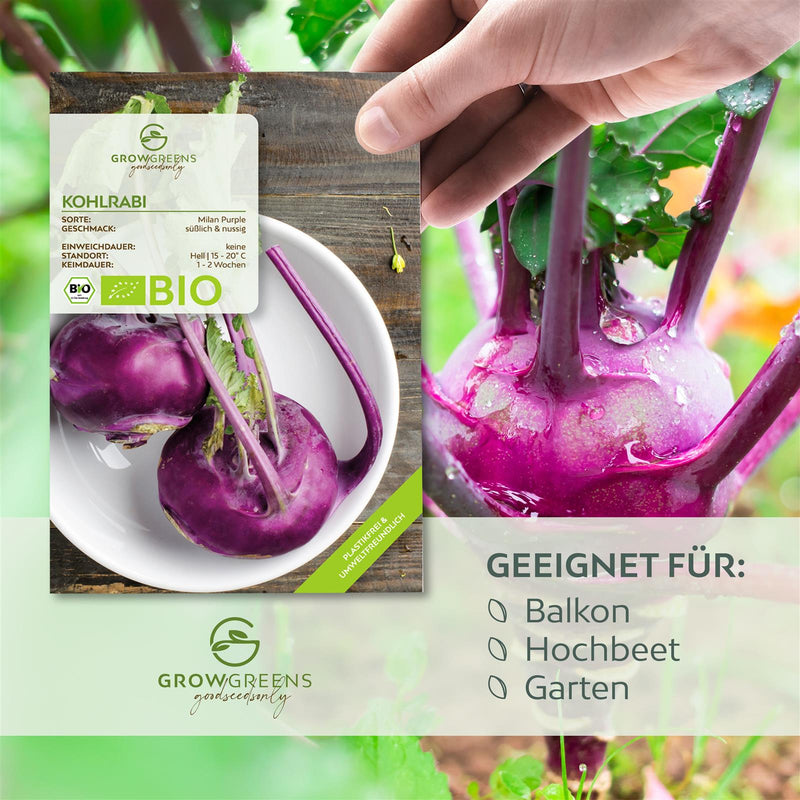 BIO Lila Kohlrabi Samen (Milan Purple) - Kohlrabi Saatgut aus biologischem Anbau (300 Korn) - HappySeed