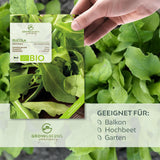 BIO Rucola Samen (Eruca sativa) - Rauke Saatgut aus biologischem Anbau (500 Korn) - HappySeed