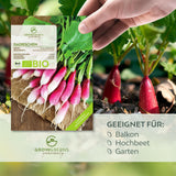 BIO Radieschen Samen (French Breakfast) - Radieschen Saatgut aus biologischem Anbau (75 Korn) - HappySeed