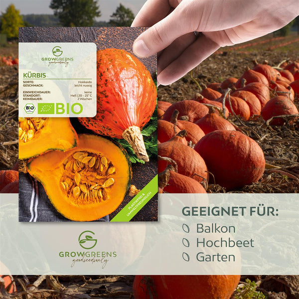 BIO Kürbis Samen (Hokkaido) - Kürbis Saatgut aus biologischem Anbau (5 Korn) - HappySeed