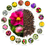 2x Saatteppich mit Blumensamen  für den Balkon (Mix) - HappySeed
