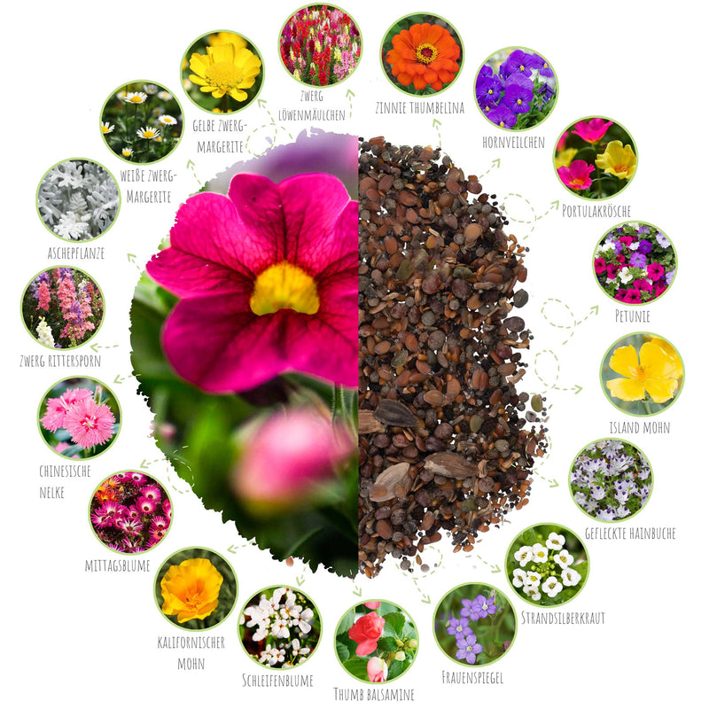 2x Saatteppich mit Blumensamen  für den Balkon (Mix) - HappySeed
