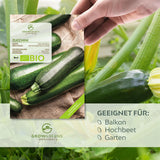 BIO Zucchini Samen (Nero di Milano) - Zucchini Saatgut aus biologischem Anbau (5 Korn) - HappySeed