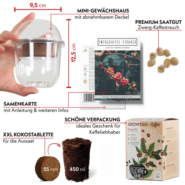 GROW2GO Zwergkaffee Strauch Set zum selber Pflanzen