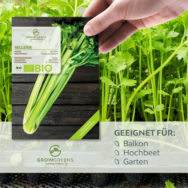 BIO Selleriesamen (Tall Utah) - Staudensellerie Saatgut aus biologischem Anbau (250 Korn) - HappySeed