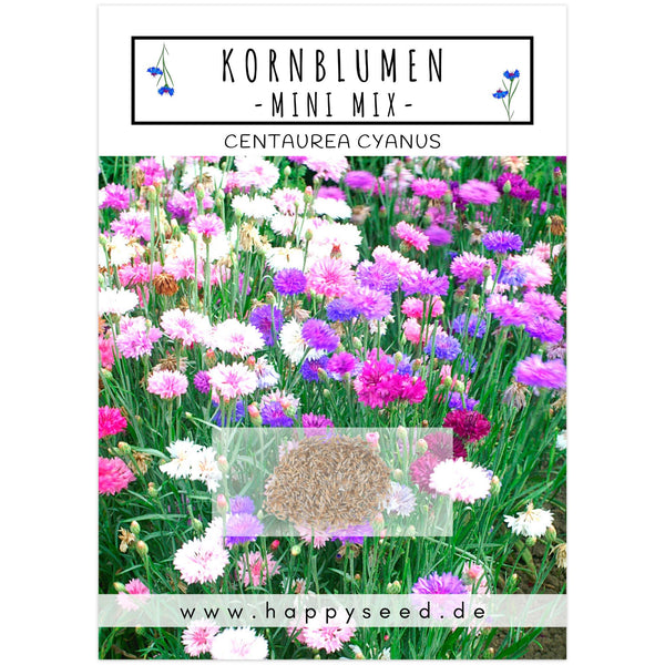 Kornblumen Samen (Centaurea cyanus) - Mini Mix, 1000 Korn, 50 cm - HappySeed