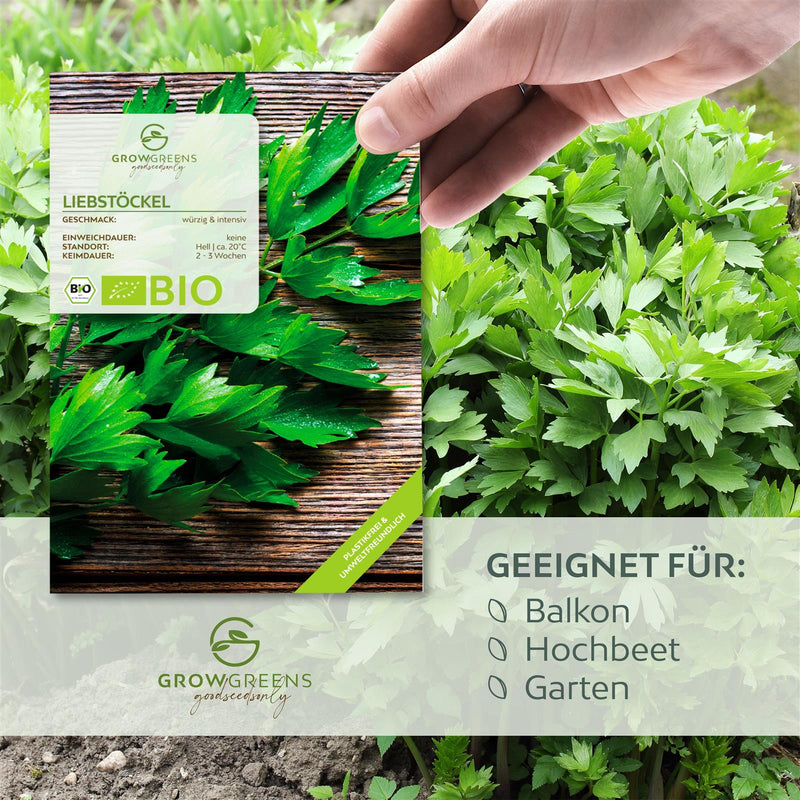 BIO Liebstöckel Samen - Küchenkräuter Saatgut aus biologischem Anbau (50 Korn) - HappySeed