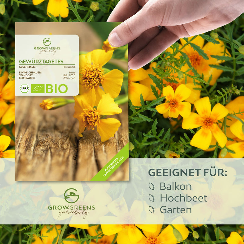 BIO Gewürztagetes Samen - Tagetes Saatgut aus biologischem Anbau (100 Korn) - HappySeed