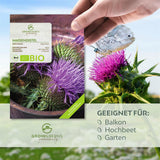 BIO Mariendistel Samen - Heilkräuter Saatgut aus biologischem Anbau (50 Korn) - HappySeed