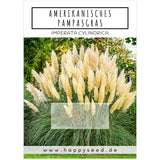 Amerikanisches Pampasgras Samen - Cortaderia selloana - HappySeed