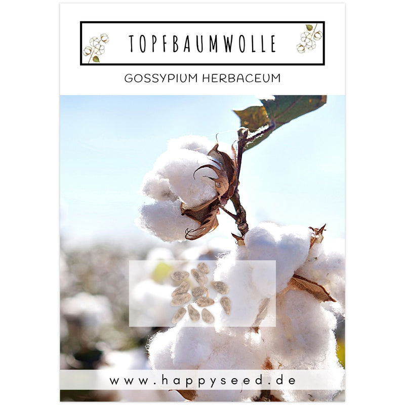 Topfbaumwoll Samen - Gossypium Herbaceum - HappySeed