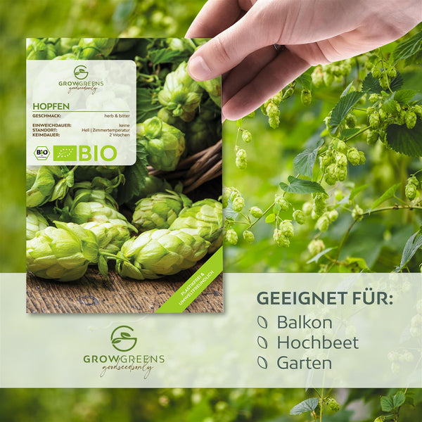 BIO Hopfen Samen - Heilkräuter Saatgut aus biologischem Anbau (40 Korn) - HappySeed
