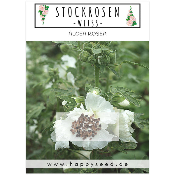 Stockrosen Samen - Alcea Rosea (Weiß) - HappySeed
