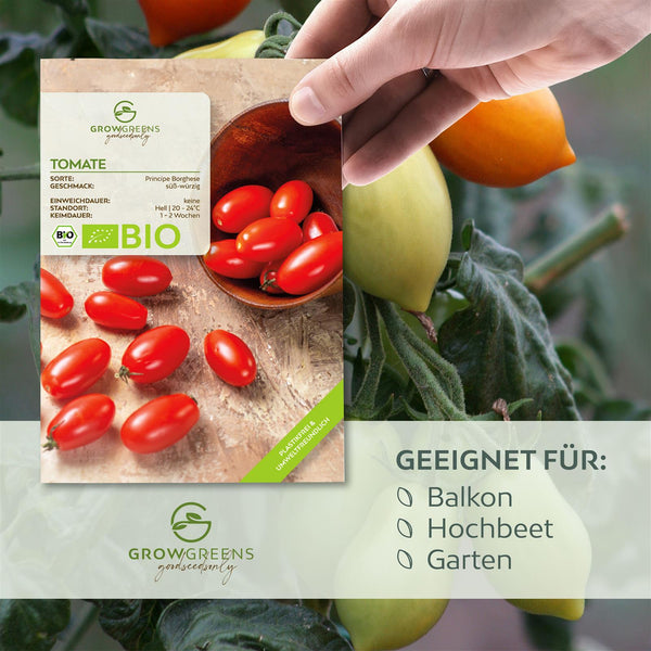BIO Tomatensamen (Principe Borghese) - Tomaten Saatgut aus biologischem Anbau (10 Korn) - HappySeed