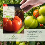 BIO Tomatensamen (Rouge de Marmande) - Tomaten Saatgut aus biologischem Anbau (10 Korn) - HappySeed