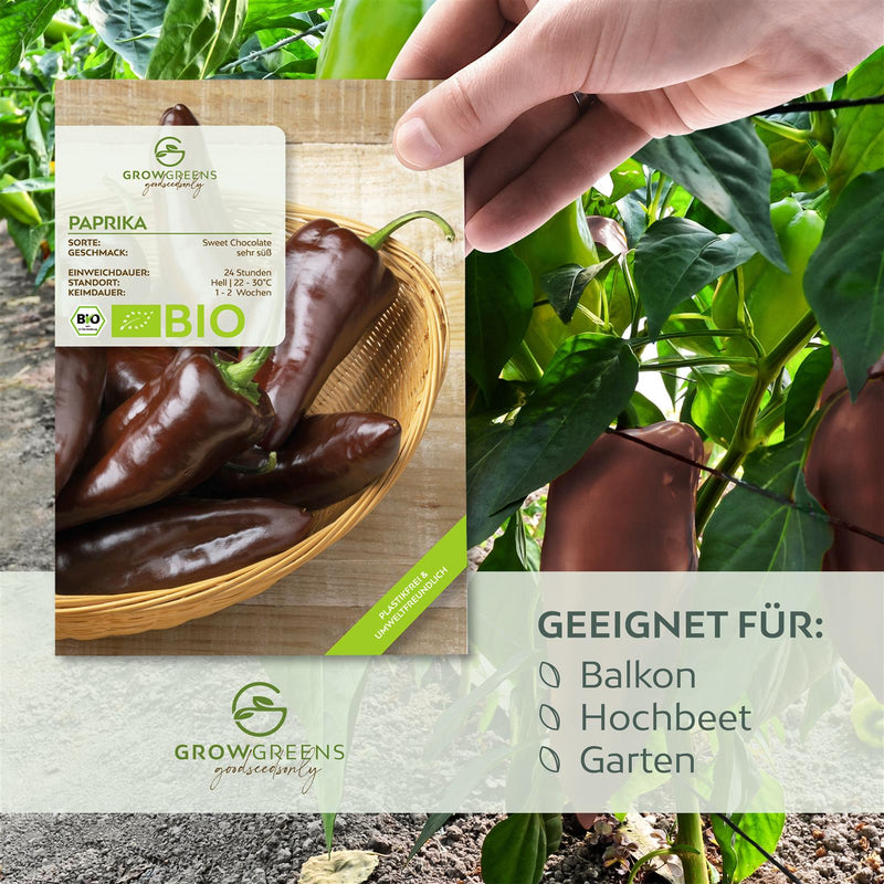 BIO Paprika Samen (Sweet Chocolate) - Paprika Saatgut aus biologischem Anbau (10 Korn) - HappySeed