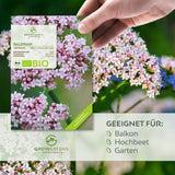 BIO Baldrian Samen - Heilkräuter Saatgut aus biologischem Anbau (200 Korn) - HappySeed