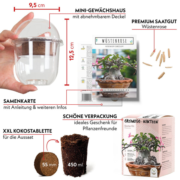 GROW2GO Kakteen Starter Kit Anzuchtset - Pflanzset aus Mini-Gewächshaus, Kaktus Samen & Erde (Wüstenrose) - HappySeed