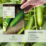 BIO Gurken Samen (Marketmore) - Salatgurke Saatgut aus biologischem Anbau (10 Korn) - HappySeed