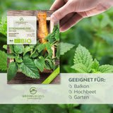 BIO Zitronenmelisse Samen - Heilkräuter Saatgut aus biologischem Anbau (500 Korn) - HappySeed