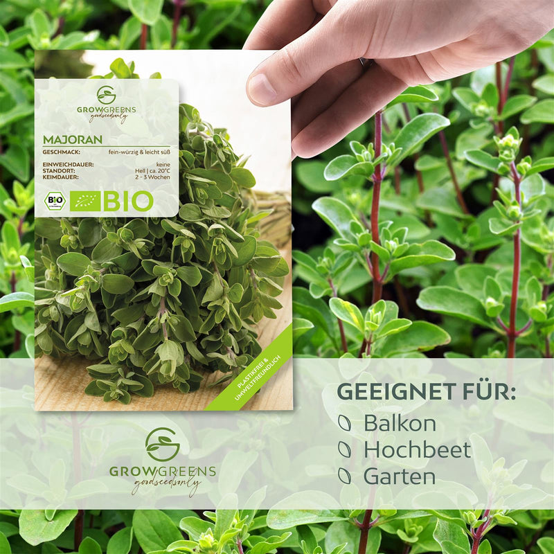 BIO Majoran Samen - Küchenkräuter Saatgut aus biologischem Anbau (700 Korn) - HappySeed