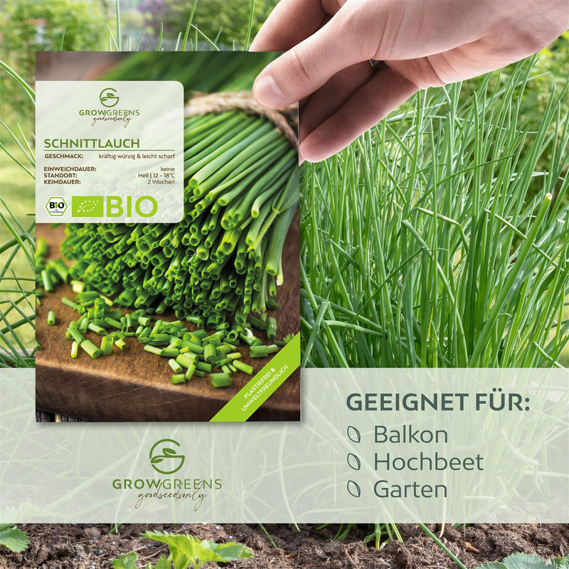 BIO Schnittlauch Samen - Küchenkräuter Saatgut aus biologischem Anbau (125 Korn) - HappySeed