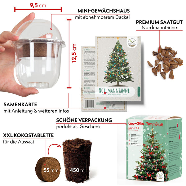 GROW2GO Weihnachtsbaum zum selber Pflanzen - Mini-Gewächshaus, Nordmanntanne Samen & Erde - HappySeed