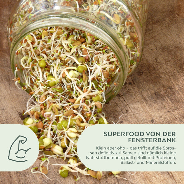 BIO Sprossen Samen (6 Sorten) - Microgreens Saatgut ideal für die Anzucht von knackigen Keimsprossen - HappySeed