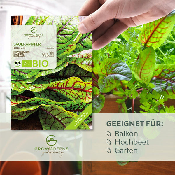 BIO Sauerampfer Samen - Heilkräuter Saatgut aus biologischem Anbau (200 Korn) - HappySeed