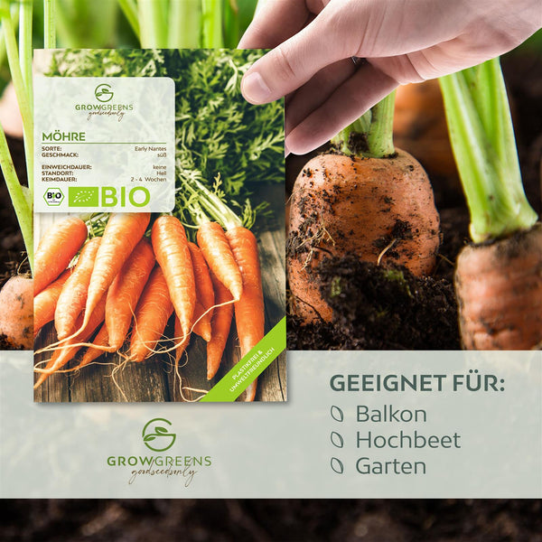 BIO Karotten Samen (Early Nantes) - Möhren Saatgut aus biologischem Anbau (500 Korn) - HappySeed