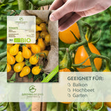 BIO Tomatensamen (Yellow Submarine) - Tomaten Saatgut aus biologischem Anbau (10 Korn) - HappySeed