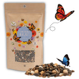Schmetterlingswiese Samen für eine bunte Blumenwiese - Farbenfrohe & nektarreiche Wildblumensamen für Schmetterlinge - HappySeed
