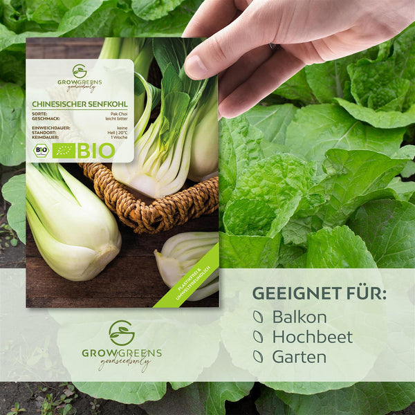 BIO Chinesischer Senfkohl Samen (Pak Choi) - Pak Choi Saatgut aus biologischem Anbau (150 Korn) - HappySeed
