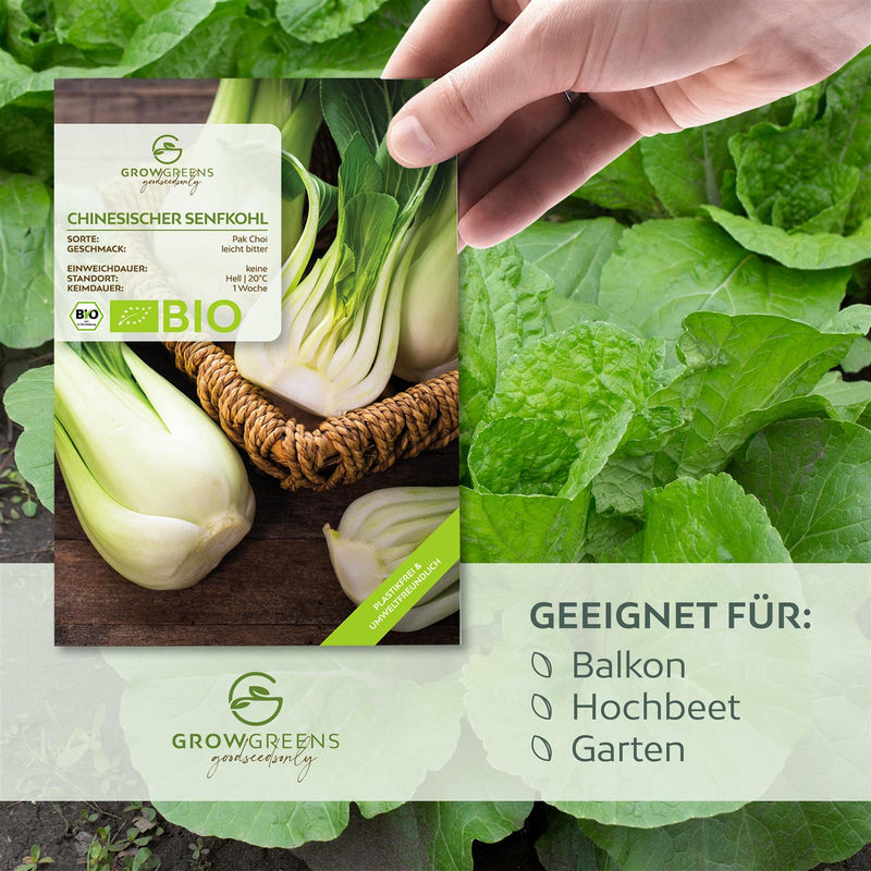 BIO Chinesischer Senfkohl Samen (Pak Choi) - Pak Choi Saatgut aus biologischem Anbau (150 Korn) - HappySeed