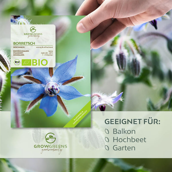BIO Borretsch Samen - Küchenkräuter Saatgut aus biologischem Anbau (40 Korn) - HappySeed