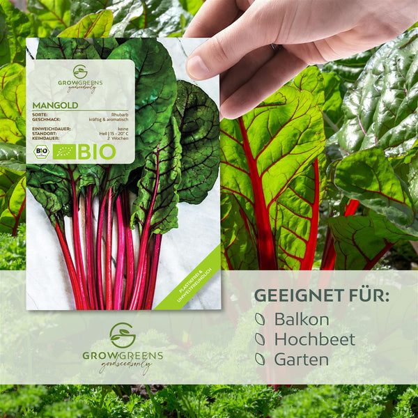 BIO Mangold Samen (Rhubarb) - Mangold Saatgut aus biologischem Anbau (25 Korn) - HappySeed