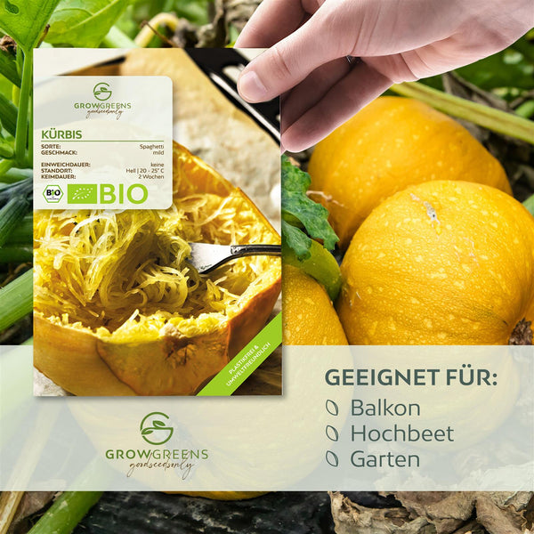 BIO Kürbis Samen (Spaghetti) - Kürbis Saatgut aus biologischem Anbau (5 Korn) - HappySeed