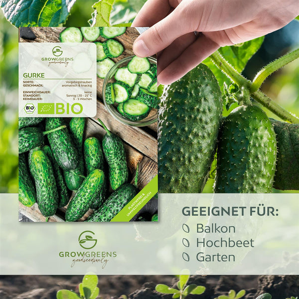 BIO Gurken Samen (Vorgebirgstraube) - Einlegegurken Saatgut aus biologischem Anbau (10 Korn) - HappySeed