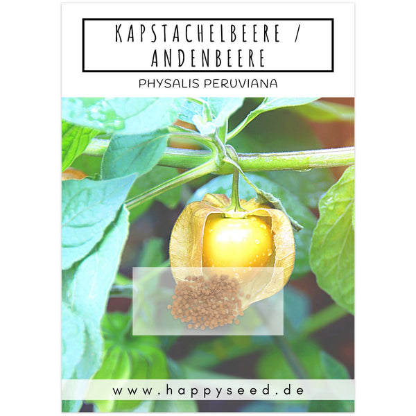 Physalis / Kapstachelbeere Samen - Physalis peruviana - HappySeed