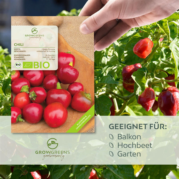 BIO Chili Samen (Ciliegia Piccante, 15.000 Scoville) - Chili Saatgut aus biologischem Anbau (10 Korn) - HappySeed