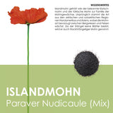 Islandmohn Samen - Papaver nudicaule (Mix) - HappySeed
