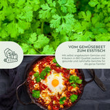 BIO Koriandersamen - Küchenkräuter Saatgut aus biologischem Anbau (35 Korn) - HappySeed