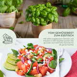 BIO Basilikum Samen Sweet Genovese - Küchenkräuter Saatgut aus biologischem Anbau (400 Korn) - HappySeed